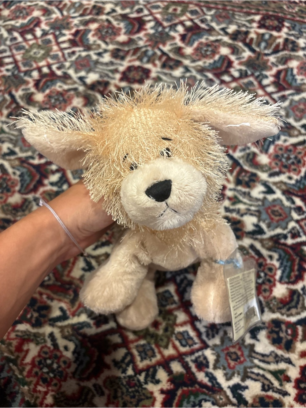 Webkinz never opened code Golden Retriever